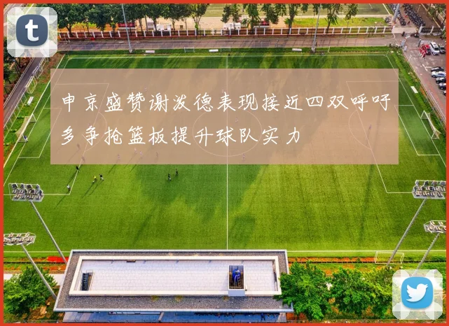 申京盛赞谢泼德表现接近四双呼吁多争抢篮板提升球队实力