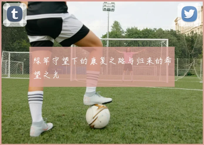 绿军守望下的康复之路与归来的希望之光
