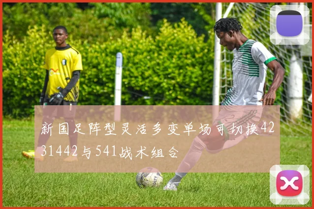 新国足阵型灵活多变单场可切换4231442与541战术组合