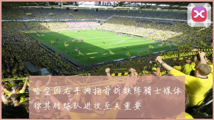 哈登因右手拇指骨折缺阵骑士媒体称其对球队进攻至关重要