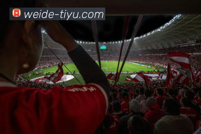 伟德体育服务体系