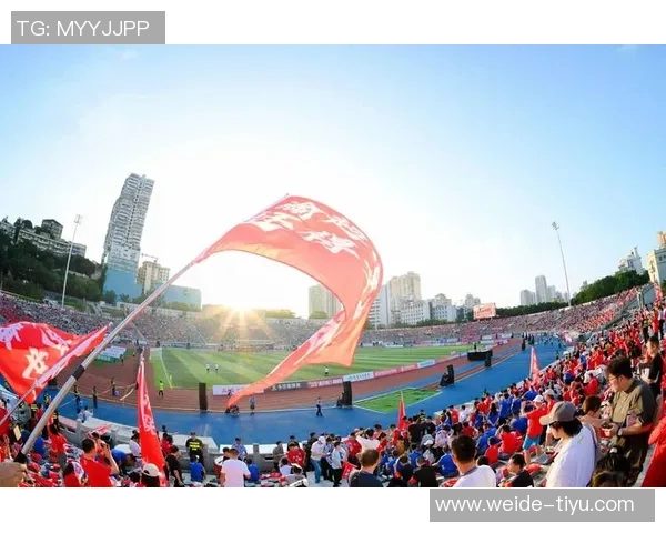 键盘侠热议杨瀚森选举结果拓蜜力挺支持者心声引发关注