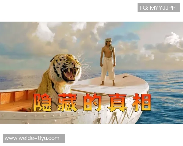 所以，到底发生了什么背后隐藏的真相与故事解析